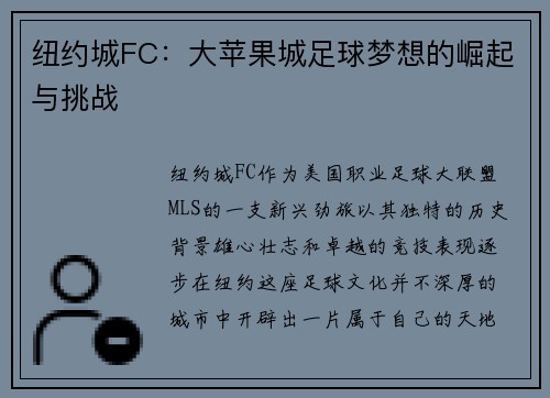 纽约城FC：大苹果城足球梦想的崛起与挑战